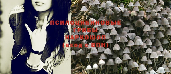 PSILOCYBIN Бугульма